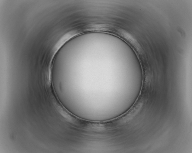 X0000113011370200909101809