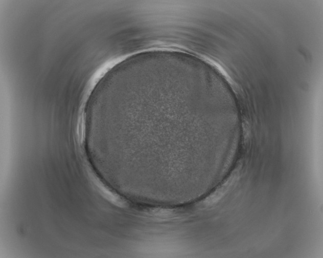 X0000113011371200909101809