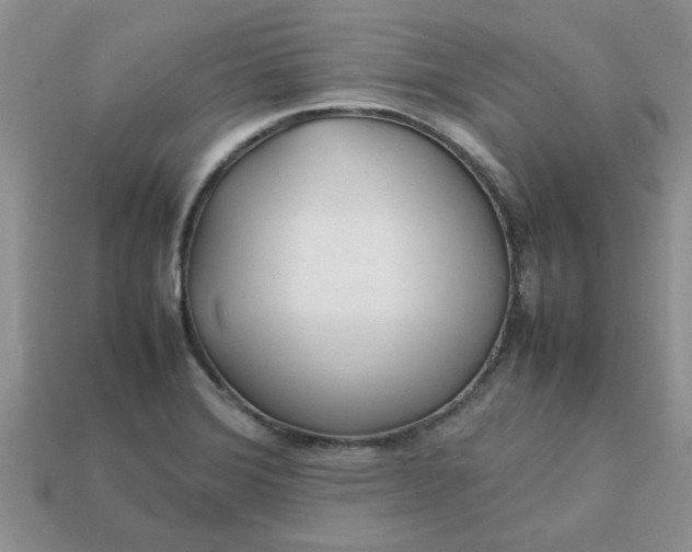 X0000113011372200909101809