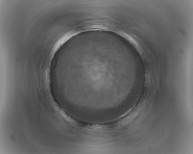 X0000113011373200909101809