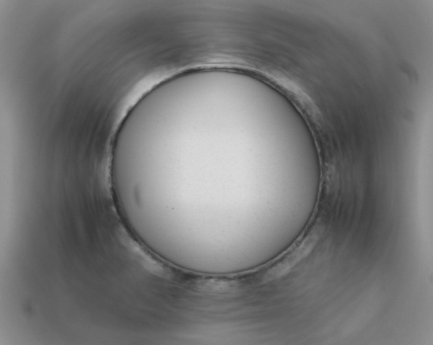 X0000113011374200909101809