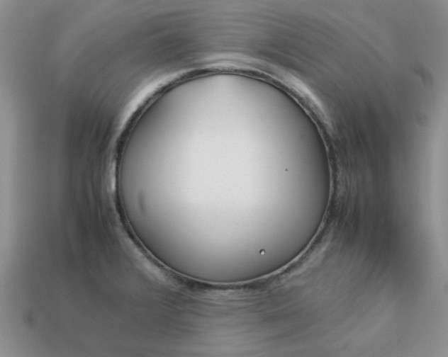 X0000113011376200909101808