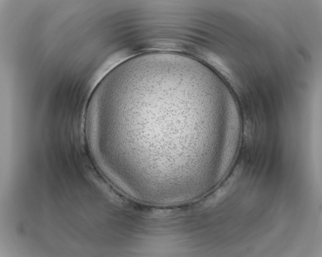 X0000113011378200909101808