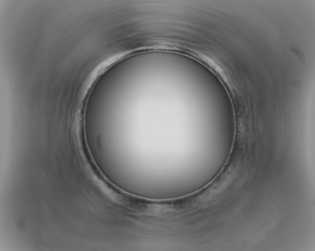 X0000113011379200909101808