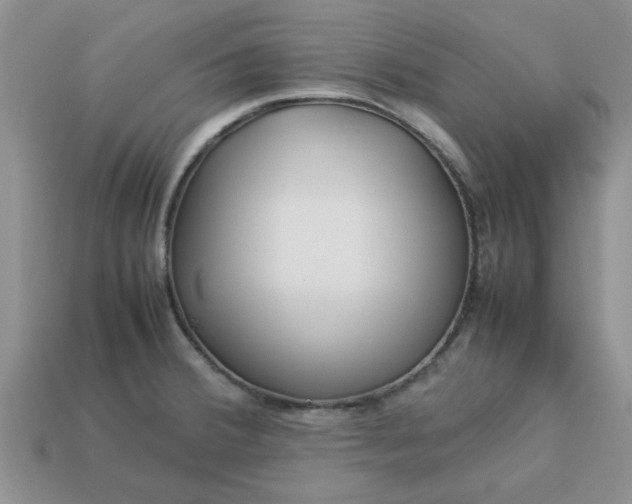 X0000113011380200909101808