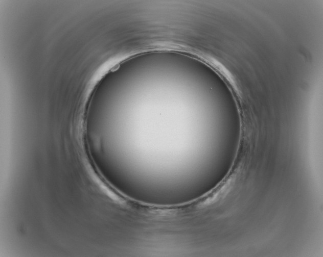 X0000113011381200909101808