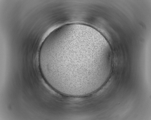 X0000113011382200909101808