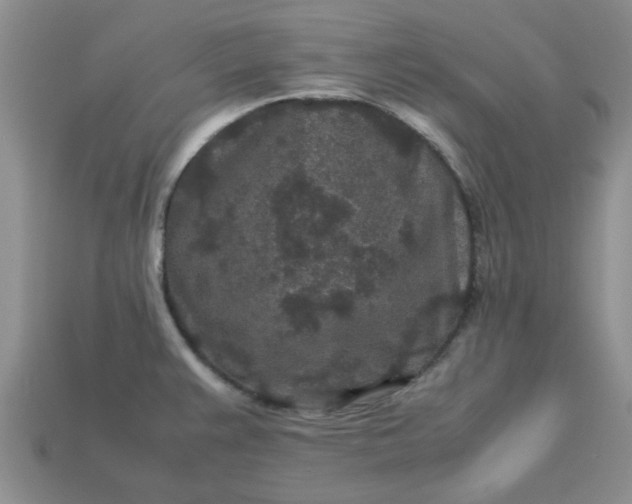 X0000113011383200909101808