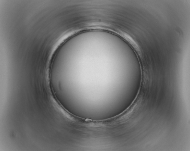 X0000113011384200909101808