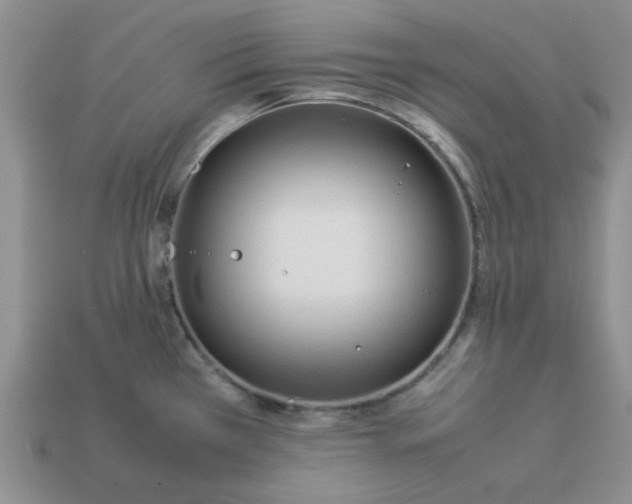 X0000113011385200909101808