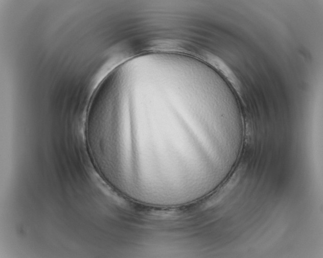 X0000113011386200909101808