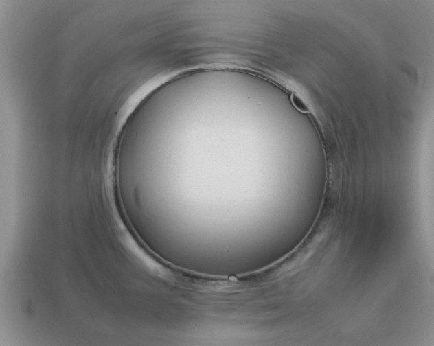 X0000113011387200909101808