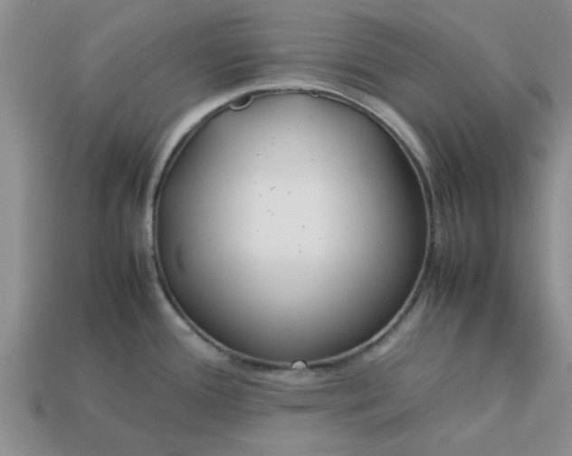 X0000113011388200909101808