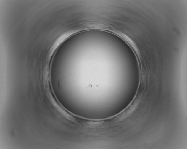 X0000113011389200909101808