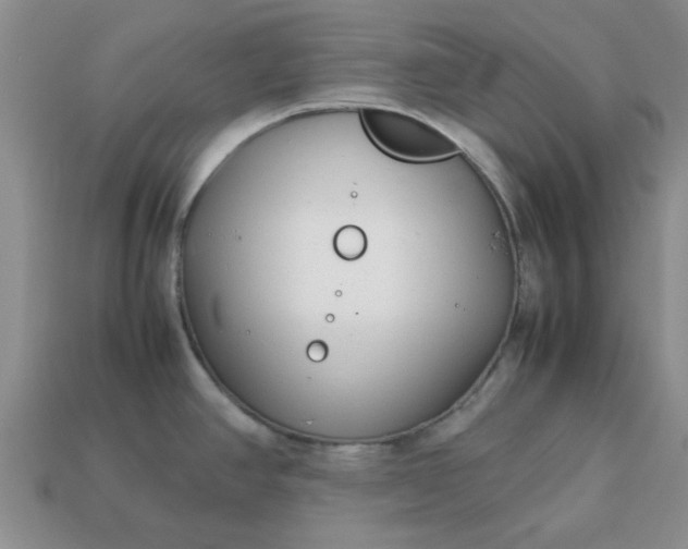 X0000113011390200909101808