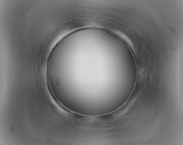 X0000113011391200909101808