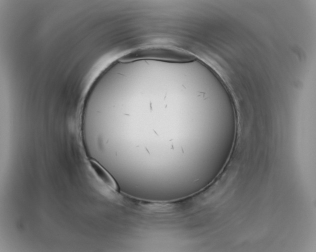 X0000113011392200909101808