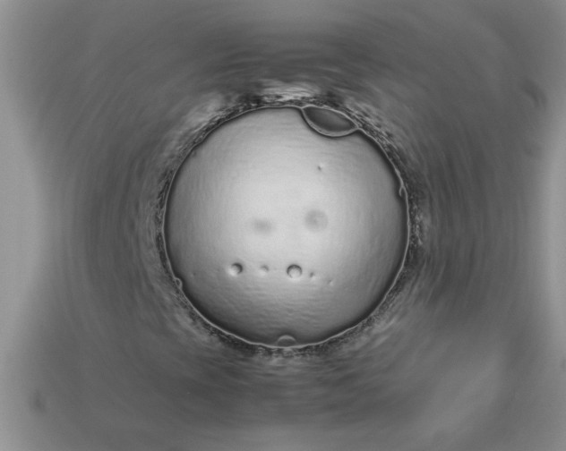 X0000113011393200909101808