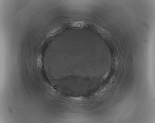 X0000113011394200909101808