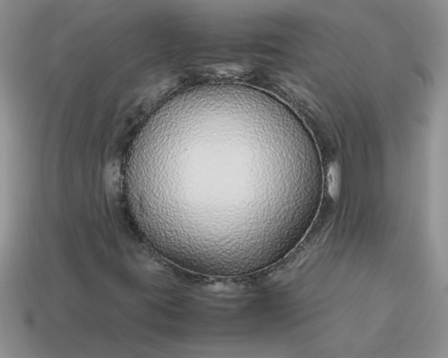 X0000113011395200909101808