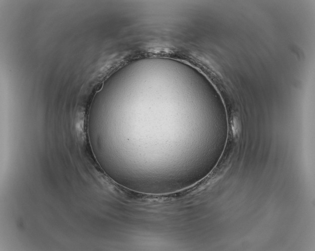 X0000113011396200909101808