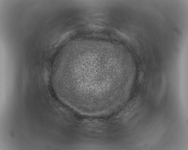 X0000113011397200909101808