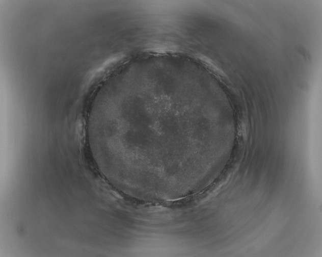 X0000113011398200909101808