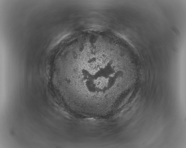 X0000113011399200909101808