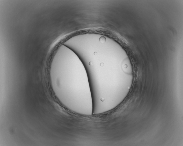 X0000113011400200909101808