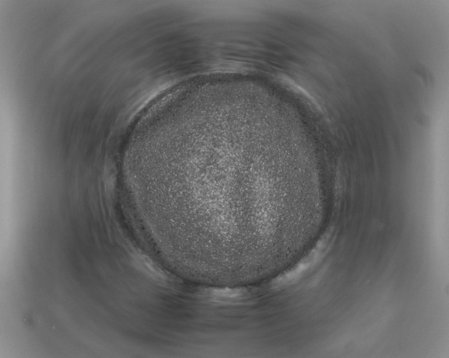 X0000113011401200909101808