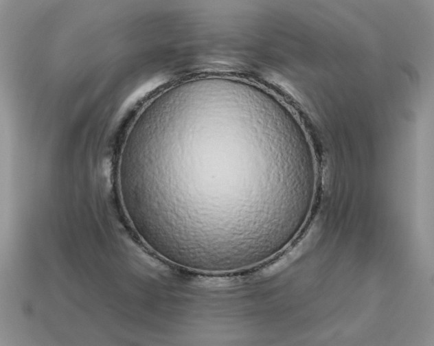 X0000113011402200909101808