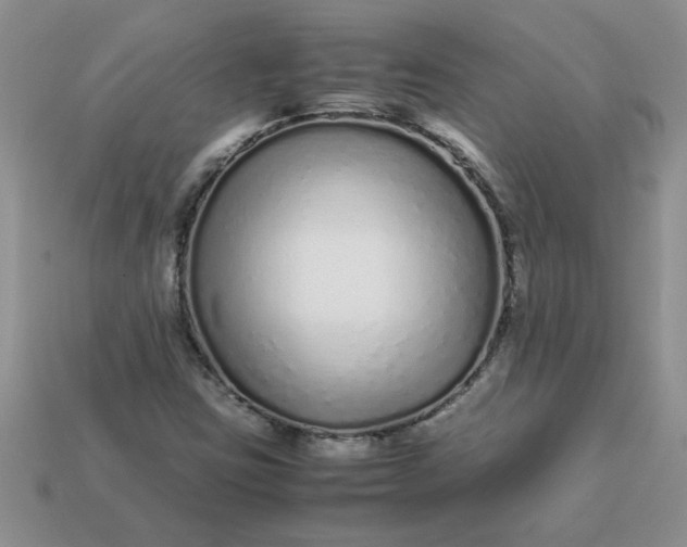 X0000113011403200909101808