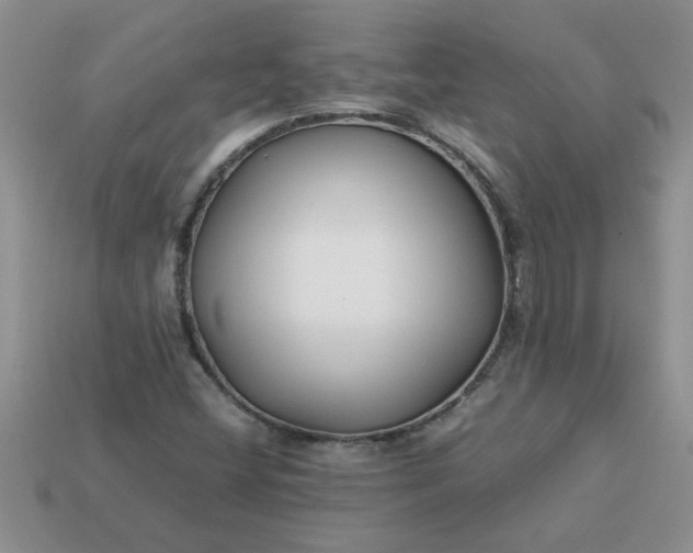 X0000113011404200909101808