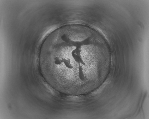 X0000113011405200909101808