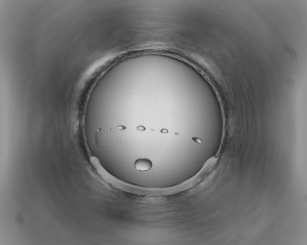 X0000113011406200909101808