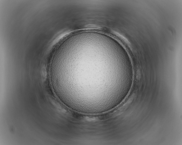 X0000113011407200909101808