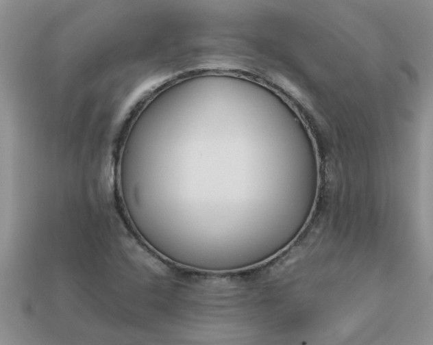 X0000113011408200909101808