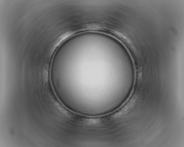 X0000113011409200909101808