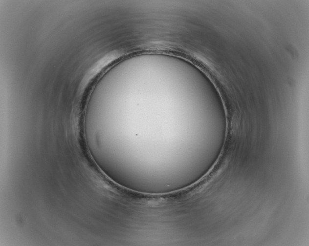 X0000113011410200909101808