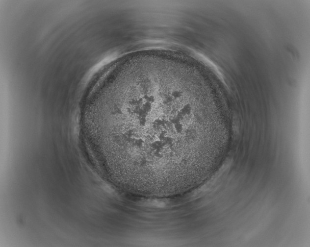 X0000113011411200909101808