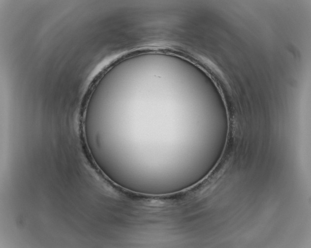 X0000113011412200909101808