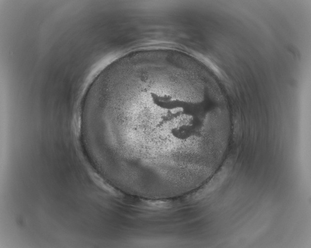 X0000113011413200909101808