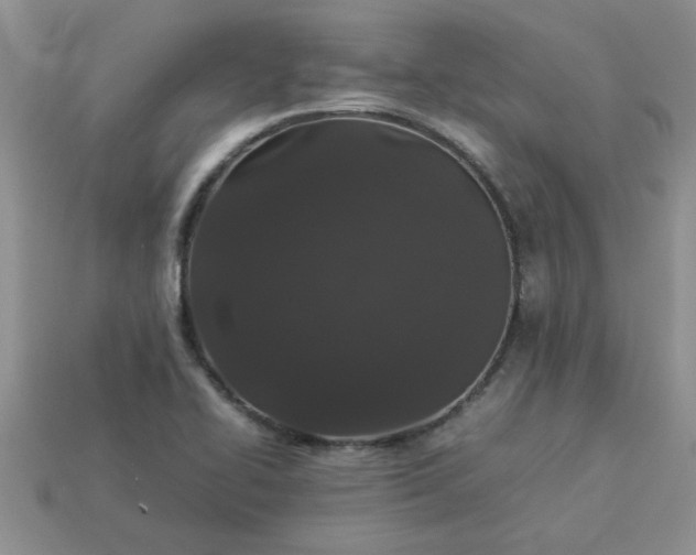 X0000113011414200909101808