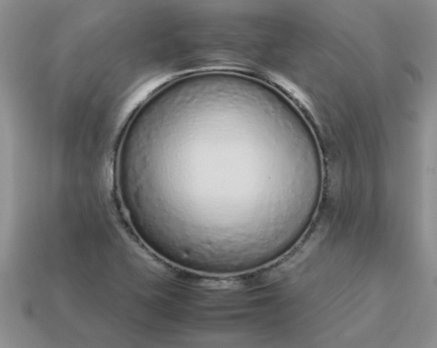 X0000113011415200909101808