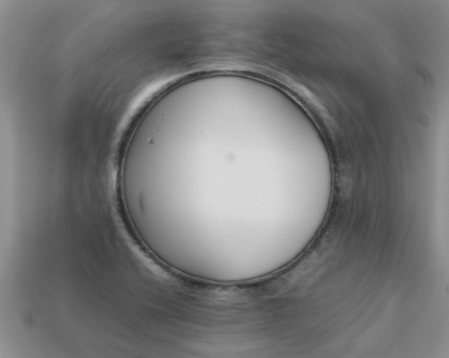 X0000113011416200909101808