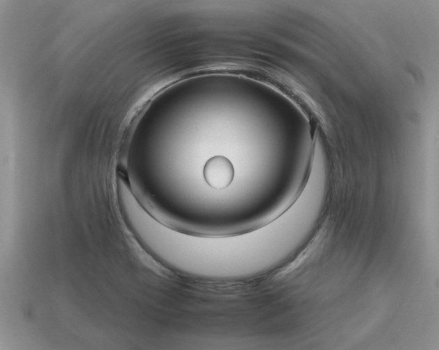 X0000113011417200909101808