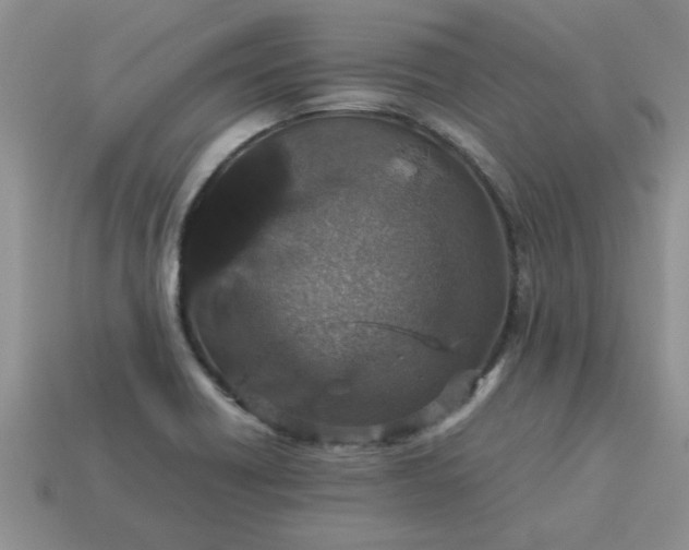 X0000113011418200909101808