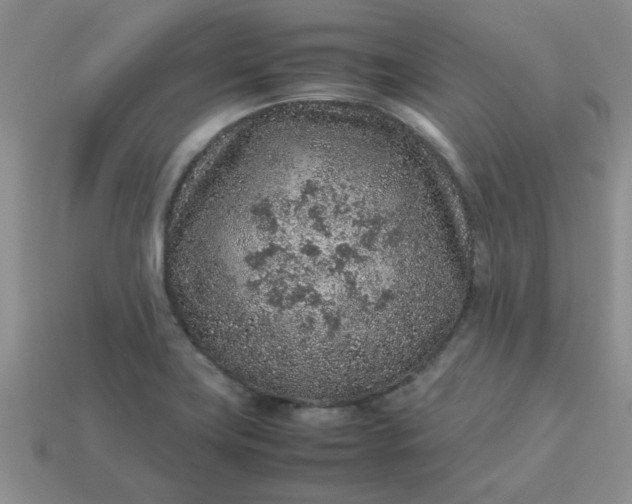 X0000113011419200909101808