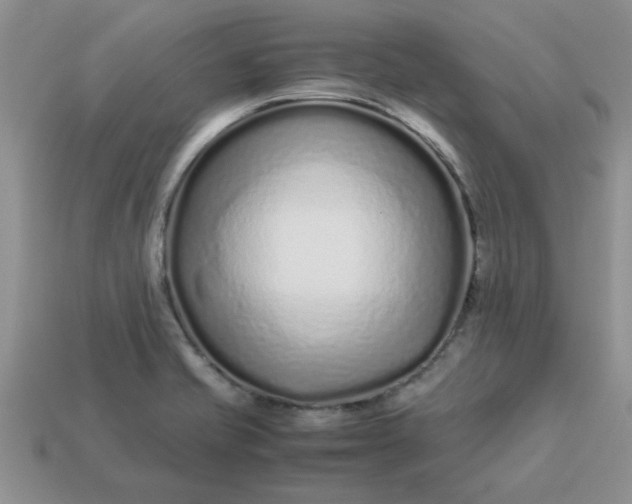 X0000113011421200909101808