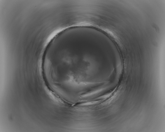 X0000113011422200909101808